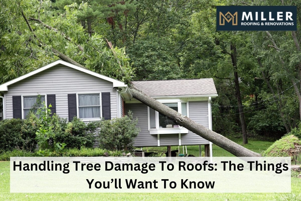 Handling Tree Damage To Roofs: The Things You’ll Want To Know